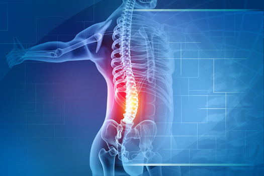 Barricaid s Blog Lower Back Pain